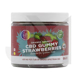 Orange County CBD 400mg Gummies - Small Pack